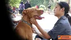 Citizen6, Yogyakarta: Penilaian meliputi segi ketangkasan anjing terhadap perintah pemiliknya, respons anjing terhadap perintah, dan kelincahan. (Pengirim: Duta)