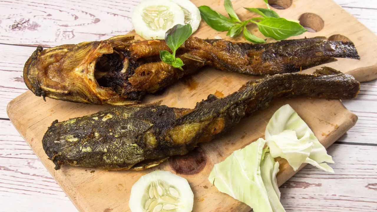 lele goreng