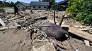 Satu gajah sumatera ditemukan mati di antara timbunan kayu dan lumpur pasca banjir bandang di Kabupaten Pidie Jaya, Aceh. Tampak dalam foto, orang-orang berjalan di dekat bangkai gajah Sumatra yang terkubur lumpur di daerah terdampak banjir di Meureudu, Kabupaten Pidie Jaya, Provinsi Aceh, pada 30 November 2025. (CHAIDEER MAHYUDDIN/AFP)