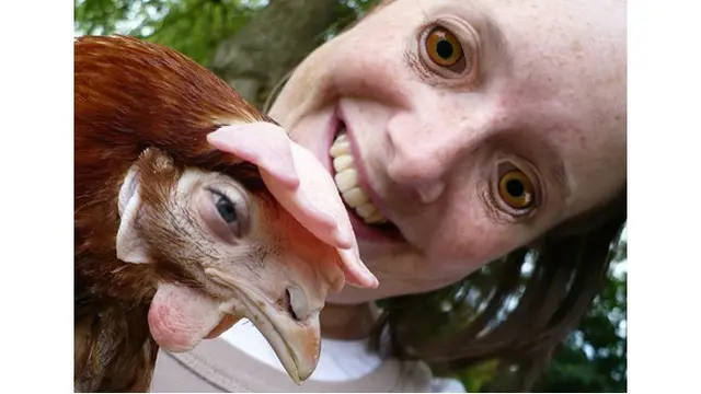 6 Editan Face Swap Manusia dengan Hewan Ini Hasilnya Bikin Merinding, Absurd Banget