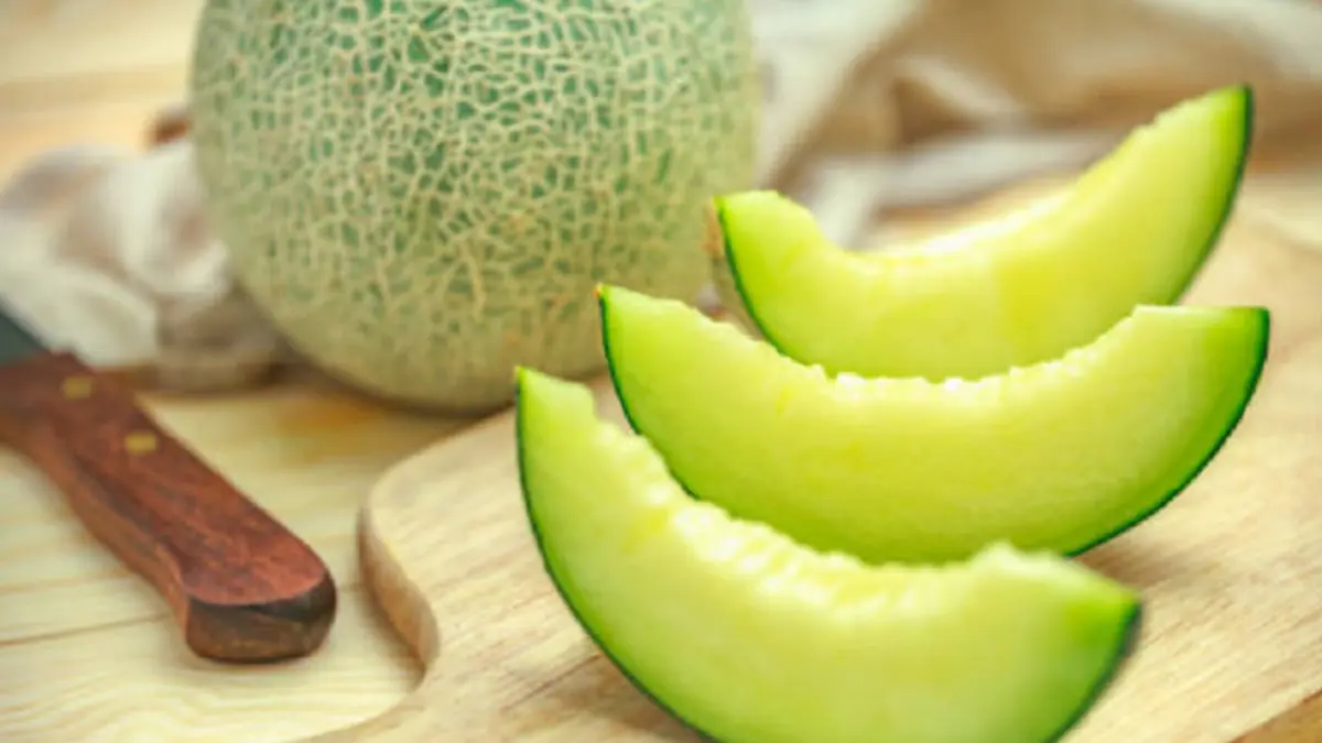 Honeydew Melon. Дыня зеленая. Дыня нарезанная. Дыня фото.