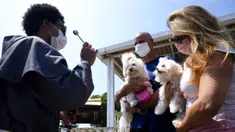 Seorang Fransiskan memberkati anjing peliharaan dalam misa untuk menghormati Santo Fransiskus dari Assisi pada Hari Raya Santo di Brasilia, Brasil, Senin (4/10/2021). Santo Katolik dianggap sebagai pelindung hewan. (AP Photo/Eraldo Peres)