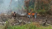 Kebakaran hutan dan lahan di Kalimantan Barat. (Liputan6.com/Raden AMP)