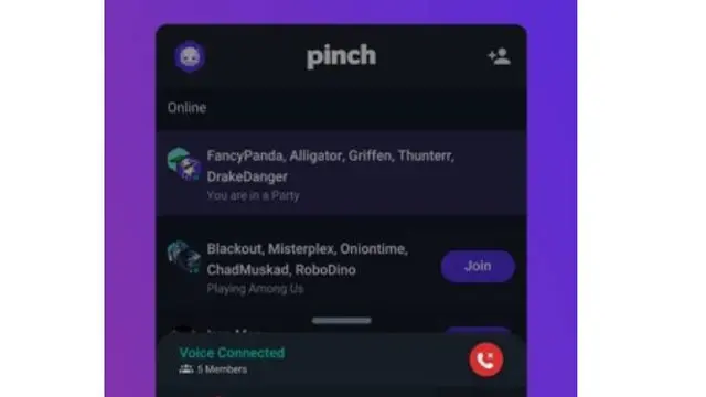 Pinch Voice Chat