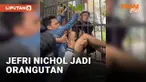 vertical nichol