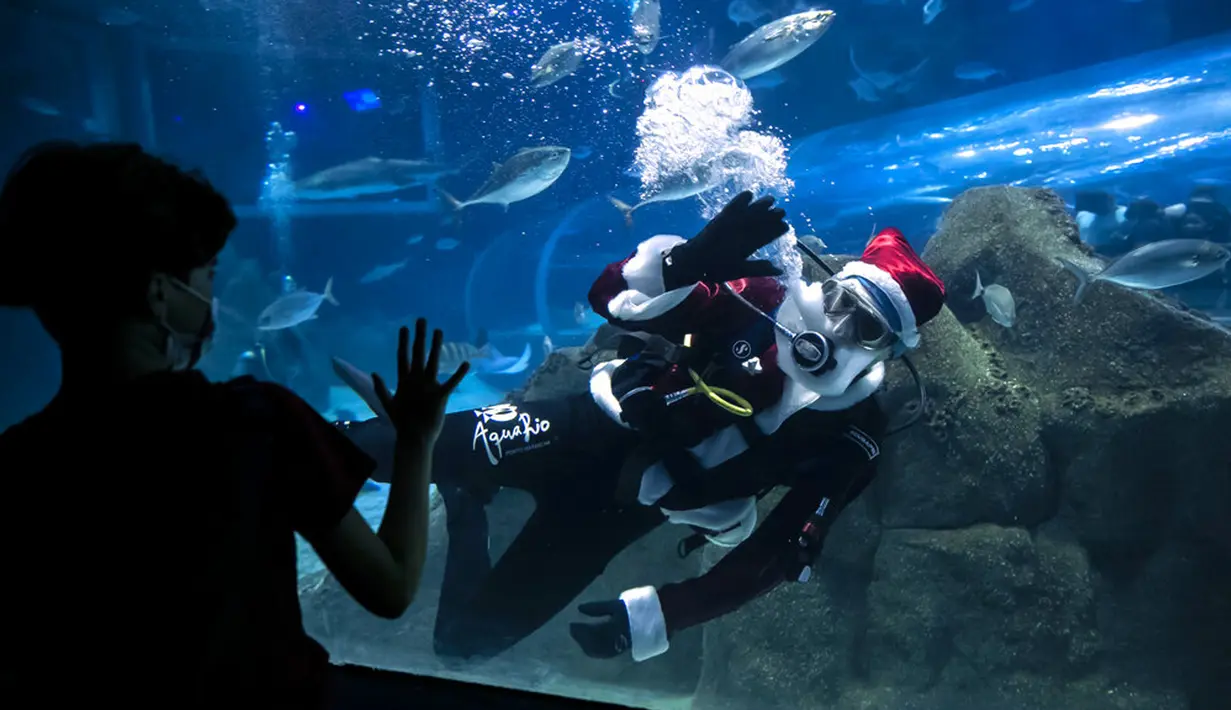 Aquarist Volmer Salvador menyapa pengunjung akuarium AquaRio mengenakan kostum Sinterklas saat musim Natal di Rio de Janeiro, Brasil, 20 Desember 2021. Dengan luas bangunan sekitar 26.000 meter persegi, AquaRio dianggap sebagai akuarium laut terbesar di Amerika Selatan. (AP Photo/Bruna Prado)