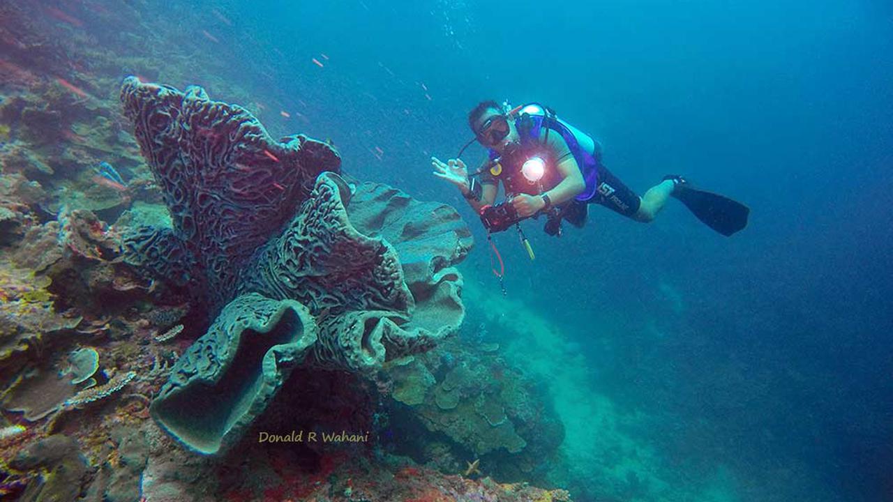 Salvador Dali Terbesar di Gorontalo Akhirnya Patah 