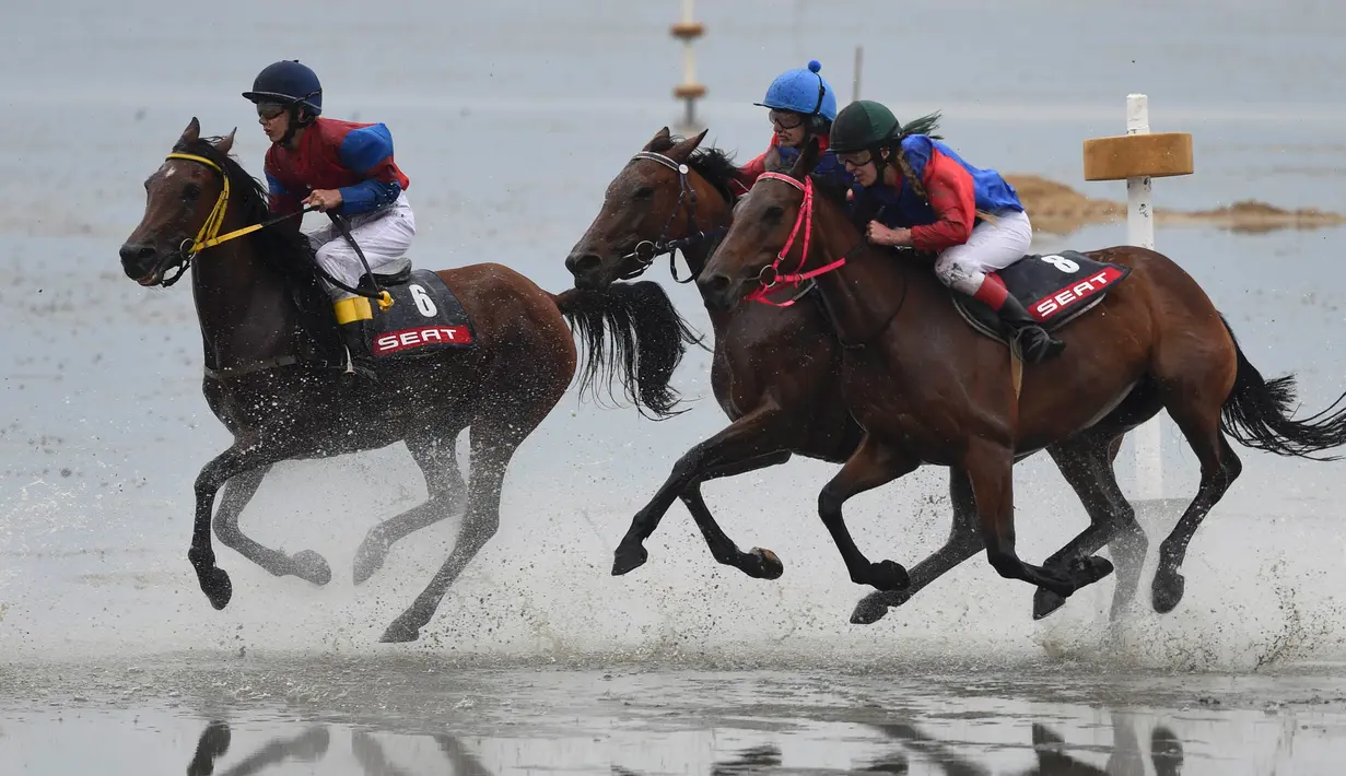 Para peserta wanita sedang berebut posisi terdepan pada pacuan kuda di Wadden Race,Lower Saxony, Jerman, Minggu (12/7/2015).Olahraga Tradisional Jerman ini telah terjadi sejak 1902. (REUTERS/Fabian Bimmer)