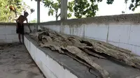 Legenda Perahu Joko Tingkir Didorong Buaya dan Muasal Nama Dukuh Butuh Sragen