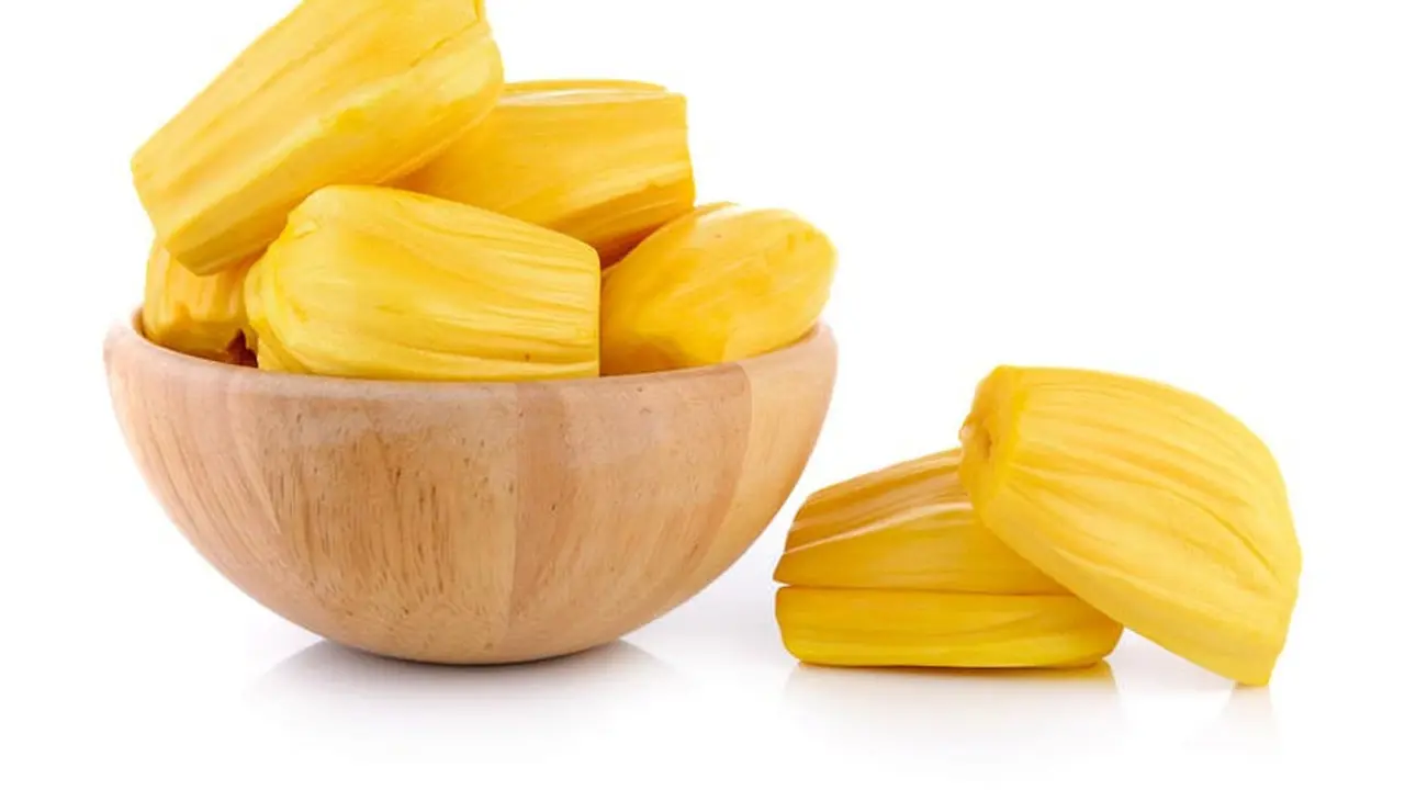 Nangka Muda