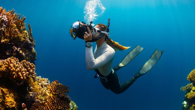 Ilustrasi snorkeling