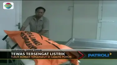 Niat ingin menebang dahan pohon mangga, pria ini malah tewas tersengat listrik.