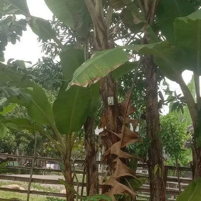 6 Potret Saklar dan Colokan Listrik di Tempat Tak Biasa Ini Bikin Tepuk Jidat