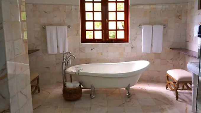 Bahan alami pemebrsih kamar mandi/copyright Pexels.com/William LeMond