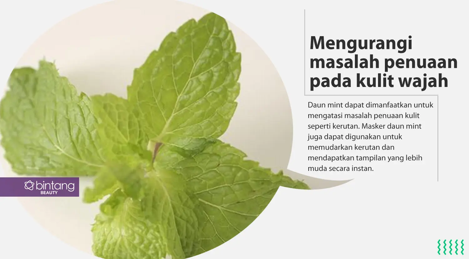 Daun mint untuk perawatan kulit wajah. (Sumber foto: Daniel Kampua/Bintang.com, Digital Imaging: Nurman Abdul Hakim/Bintang.com)