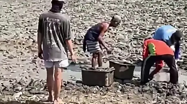 Sungai Silugonggo Mengering, Ikan-Ikan Mati, Warga Pati Terancam Krisis Air
