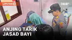 Jasad bayi ditemukan warga di jalan Jorong Talago, Kecamatan Guguak, Kabupaten Lima Puluh Kota, Sumatera Barat, pada Sabtu (18/01/2025) pagi. Jasad bayi berjenis kelamin perempuan itu diketahui setelah seorang warga curiga melihat kantong plastik hit...