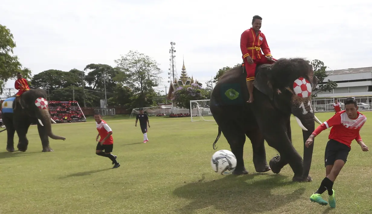 Sejumlah gajah bermain sepak bola dengan badan dilukis bendera peserta Piala Dunia 2018 di Ayutthaya, Selasa (12/6/2018). Kegiatan yang dilakukan Sekolah Ayutthaya Wittayalai ini dilakukan untuk memeriahkan Piala Dunia. (AP/Sakchai Lalit)