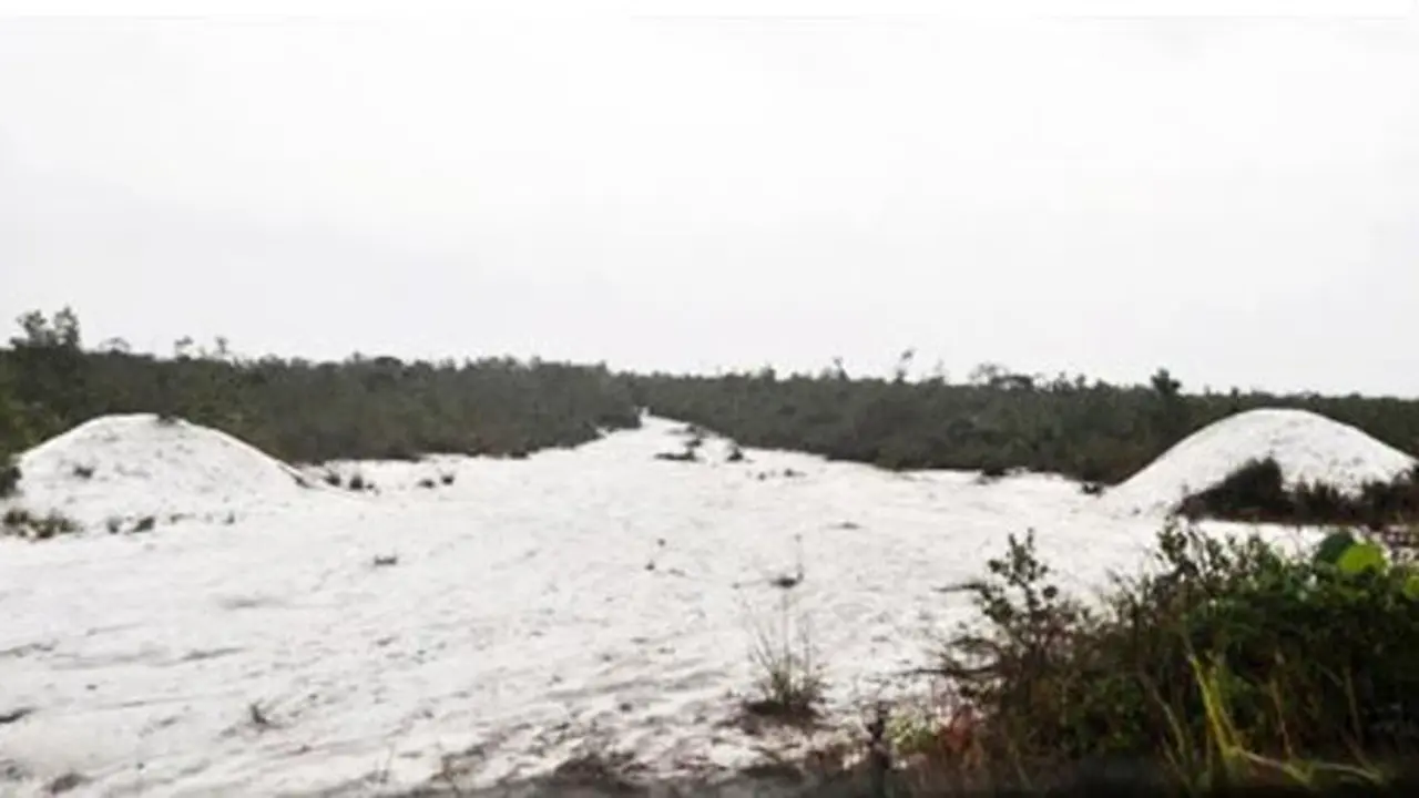 Padang 12 - Ketapang Kalimantan Barat