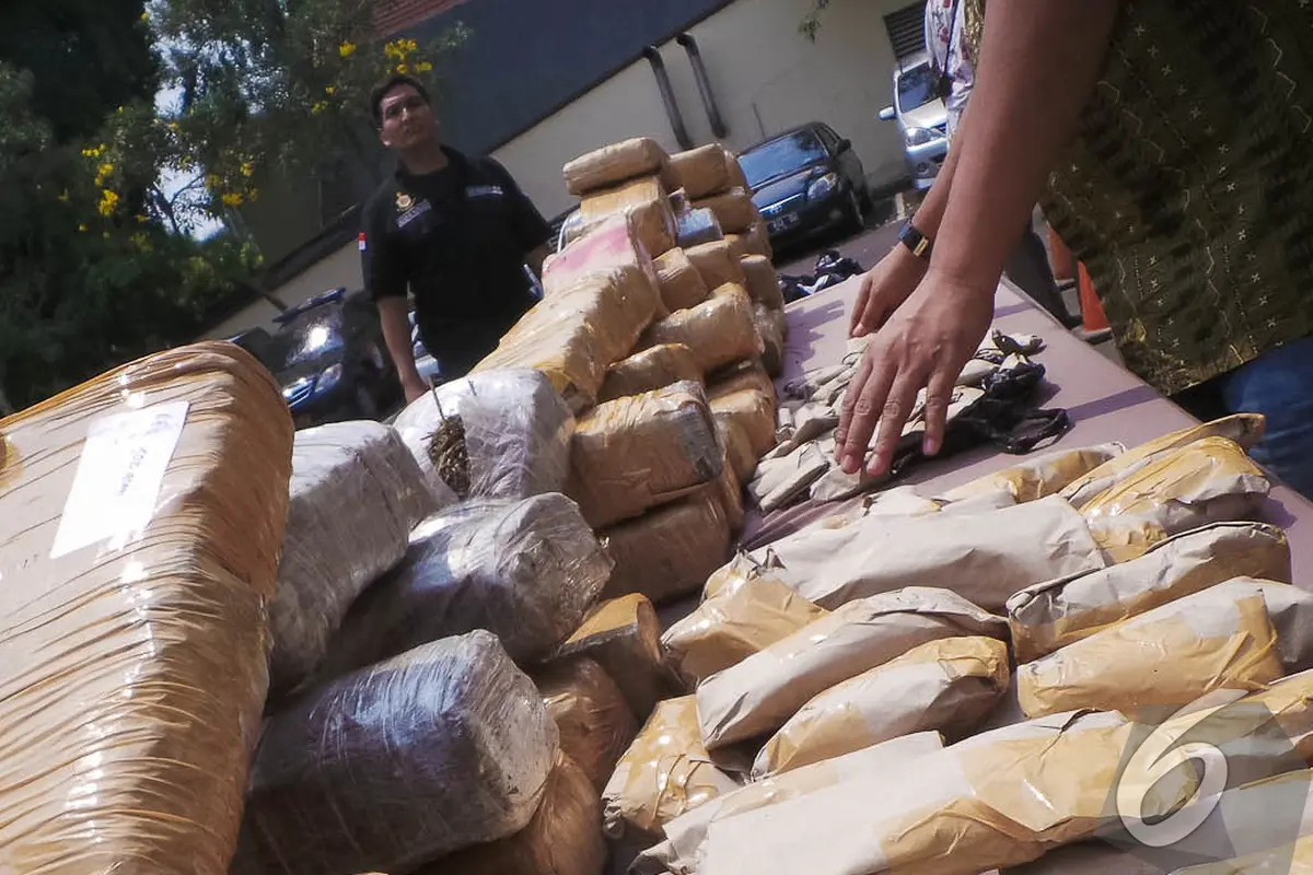 Ganja Aceh Senilai Rp 500 Juta Diamankan Polisi