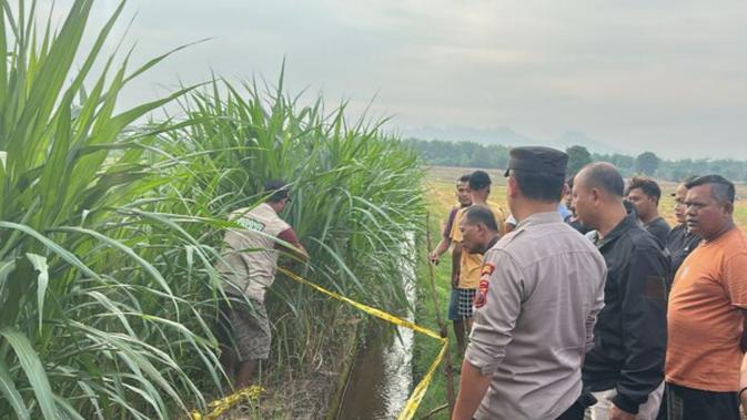 Geger Kebun: Pemuda Desa Tewas Leher Tergorok