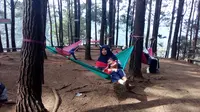 Para pengunjung tengah menikmati ayunan di atas fasilitas ayunan yang tergantung di dantara pepohonan pinus hutan Oko, Selaawi Garut (Liputan6.com/Jayadi Supriadin_