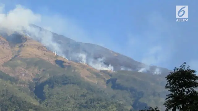 Kebakaran di lereng Gunung Sumbing meluas ke wilayah Magelang. Tim gabungan BPBD, TNI, dan Polri berusaha melakukan penyekatan mencegah meluasnya api