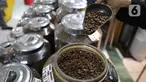 Pekerja menyortir biji kopi di salah satu gerai penjualan kopi di Pasar Santa, Jakarta,Rabu (30/10/2024). (Liputan6.com/Angga Yuniar)