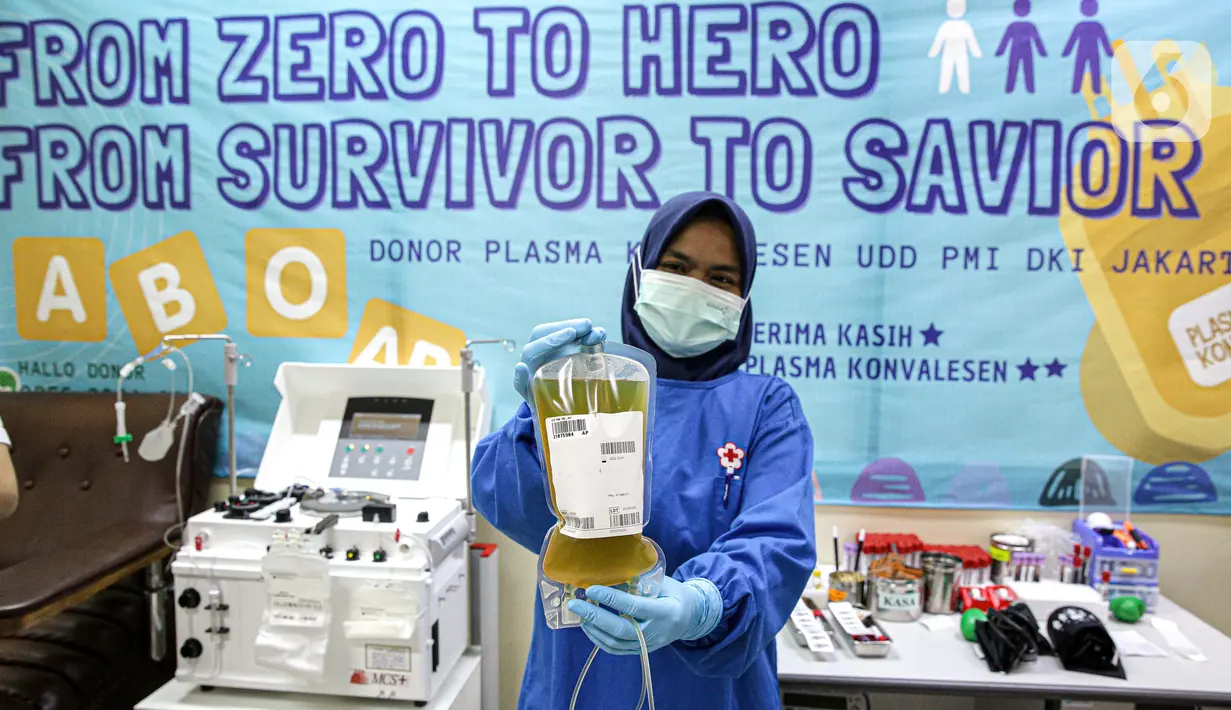 Petugas memperlihatkan plasma konvalesen dari pasien sembuh COVID-19, di Unit Donor Darah (UDD) PMI DKI Jakarta, Rabu (23/6/2021). PMI DKI Jakarta mengajak para penyintas yang sembuh mendonorkan plasma darah konvalesen untuk membantu pasien COVID-19 yang dalam perawatan. (Liputan6.com/Faizal Fanani)