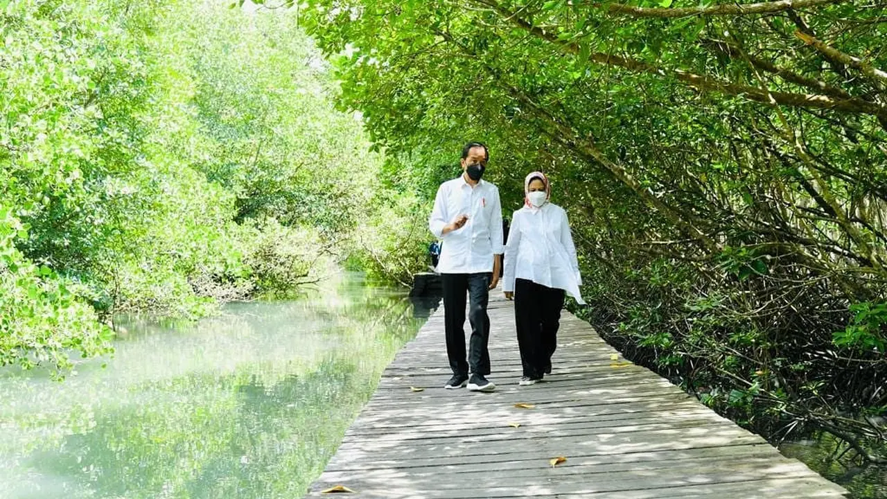 Jokowi dan Ibu Negara Iriana meninjau hutan mangrove di Taman Hutan Raya Ngurah Rai