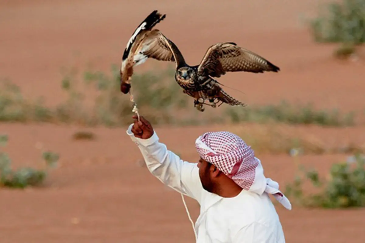 Photo: Copyright familytraveller.com