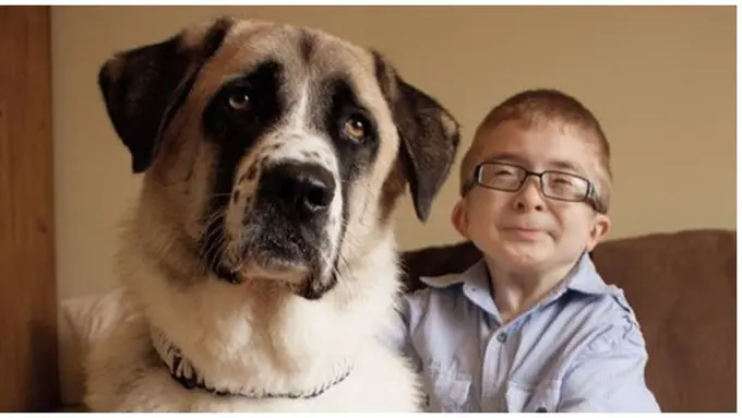 Foto : copyright mirror.co.uk