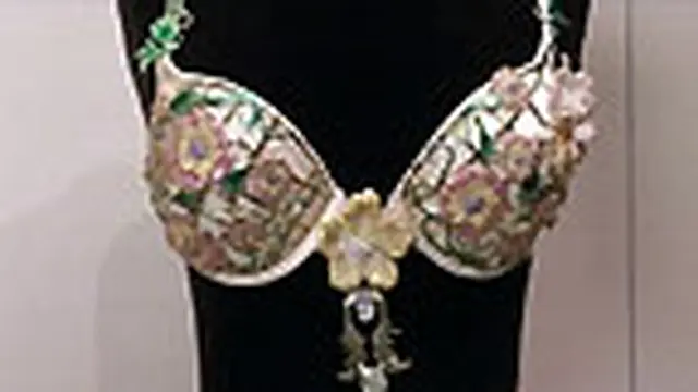Bra Termahal