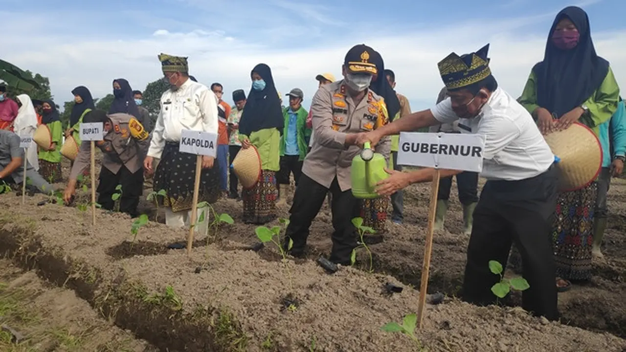 Kapolda Riau Irjen Agung Setya Imam Effendi menanam bibit cabai dalam program Jaga Kampung di Kabupaten Siak.