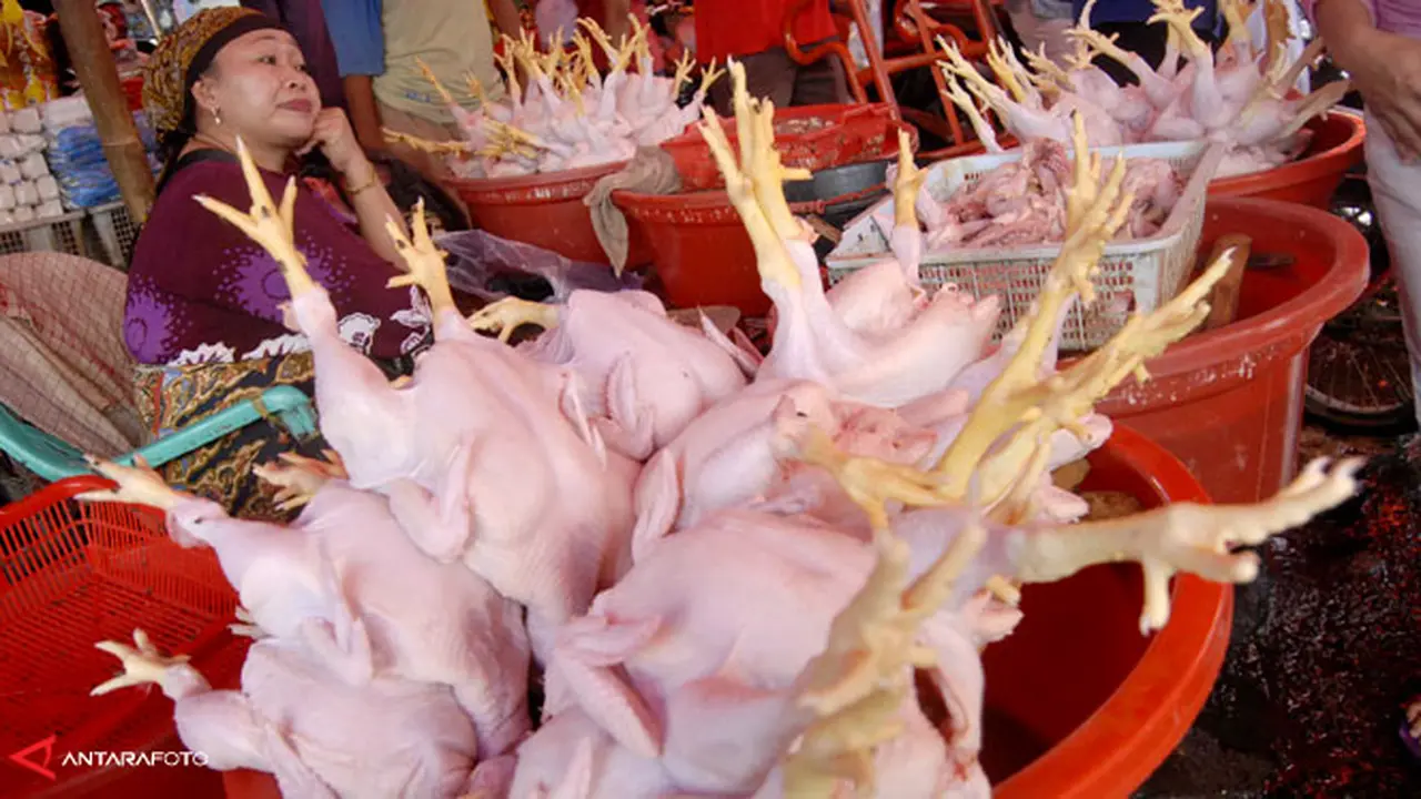 harga-daging-ayam130712b.jpg