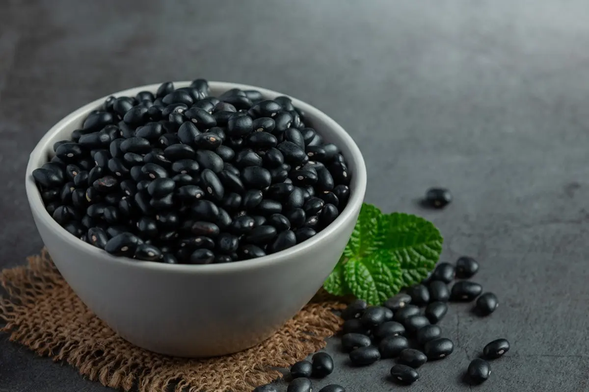 Manfaat Kacang Hitam
