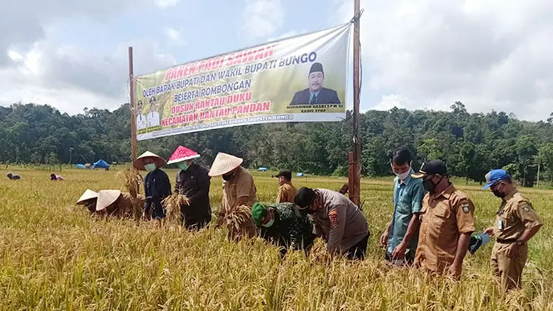 Bupati Bungo: Kami Siap Menjaga Pangan Indonesia