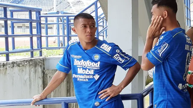 Febri Hariyadi, Persib Bandung