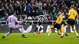 Pemain Newcastle United Miguel Almiron mencetak gol ke gawang Wolverhampton Wanderers pada pertandingan sepak bola Liga Inggris di St. James' Park, Newcastle, Inggris, 12 Maret 2023. Newcastle United mengalahan Wolverhampton Wanderers dengan skor 2-1. (Owen Humphreys/PA via AP)