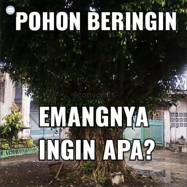 6 Meme Pertanyaan Lucu dari Kata Familiar Ini Bikin BertanyaTanya(00)