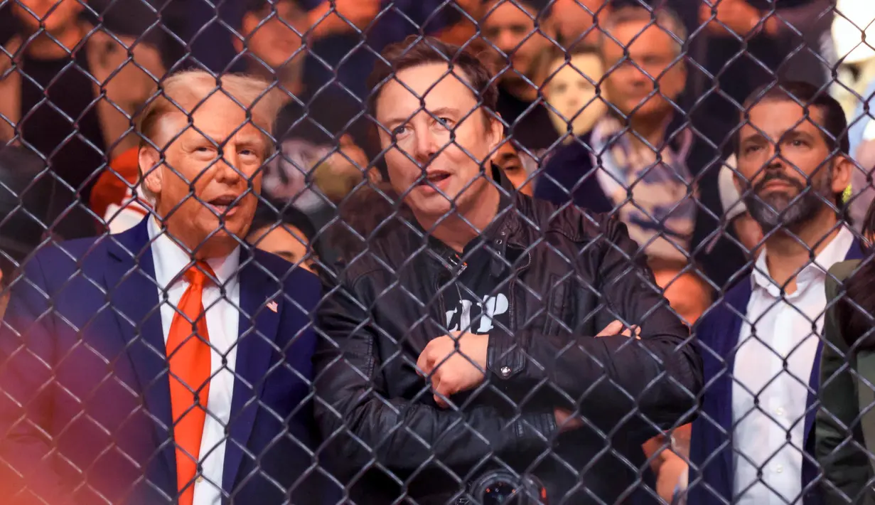 Presiden terpilih Amerika Serikat (AS), Donald Trump (kiri) bersama CEO Tesla dan SpaceX Elon Musk, dan Donald Trump Jr menyaksikan pertarungan dalam UFC 309 di Madison Square Garden, New York, pada 16 November 2024. (Kena Betancur/AFP)