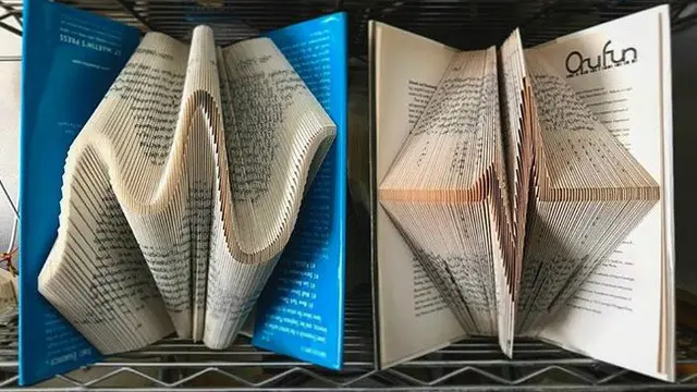 Jika dilihat dari bagian sampul, buku terlihat seperti buku pada umumnya. Namun, ketika dibuka, buku tersebut akan memunculkan pop up memukau mata.