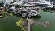Foto udara suasana Kampung Apung di Kapuk, Jakarta, Kamis (2/11/2023). Kemarau panjang mengakibatkan air di Kampung Apung surut dan sejumlah makam terlihat kembali. (Liputan6.com/Herman Zakharia)