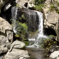 Kamu yakin bisa temukan wanita tanpa busana di deretan karya seni ini?