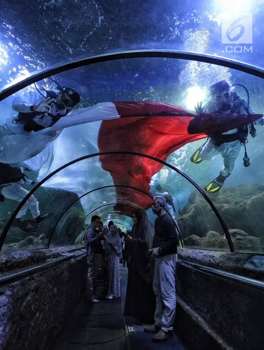 Penyelam membentangkan bendera Merah Putih untuk memperingati HUT Ke-73 Republik Indonesia di Seaworld Ancol, Jakarta, Jumat (17/8). Pengibaran bendera melibatkan para penyelam profesional dan artis peran Marsha Aruan. (Liputan6.com/Faizal Fanani)
