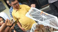 Unit Subdit IV Direktorat Kriminal Khusus (Dirkrimsus) Polda Sumsel mengamankan 8 ekor Kukang Sumatera dari salah satu penjual di Pasar Burung Kota Palembang (Liputan6.com / Nefri Inge)