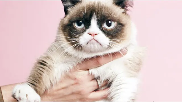 Courtesy timenewsfeed