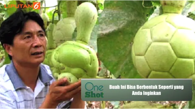 #OneShot: Buah Ini Bisa Berbentuk Seperti yang Anda Inginkan