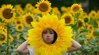Seorang perempuan berpose dengan latar belakang ladang bungan matahari. (Photo by Jade Gao / AFP)