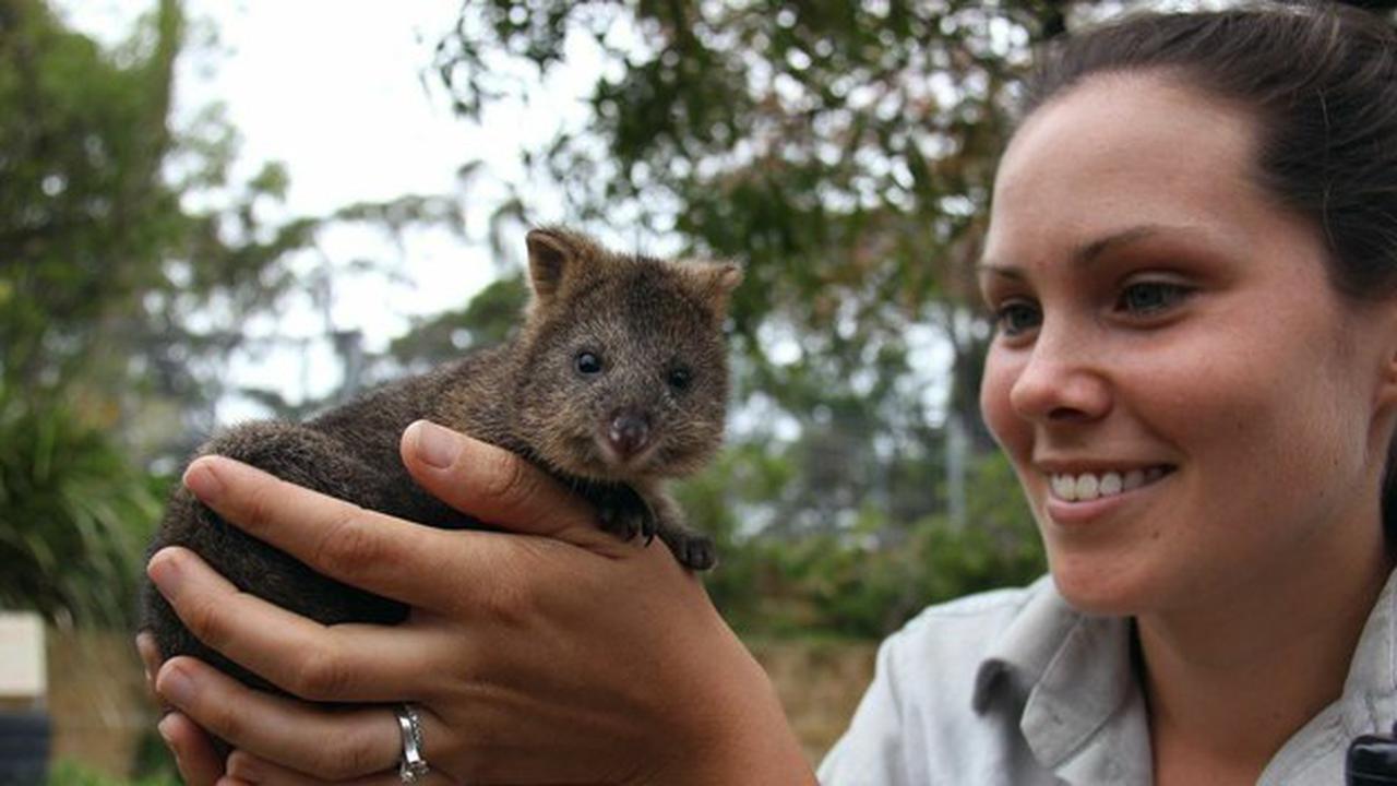 Selfie dengan Hewan Ini, Maka Hidup Anda Akan Sempurna